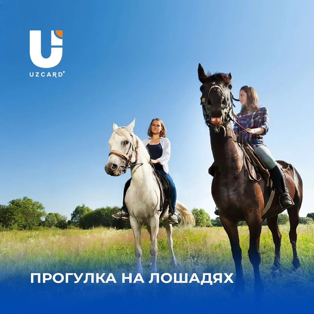 Рубрика Uzcard: прогулка на лошадях